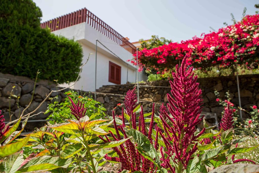 Casa Hedera Villa เบรญาบาฆา ภายนอก รูปภาพ